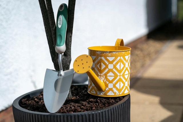 Garden & Patio -