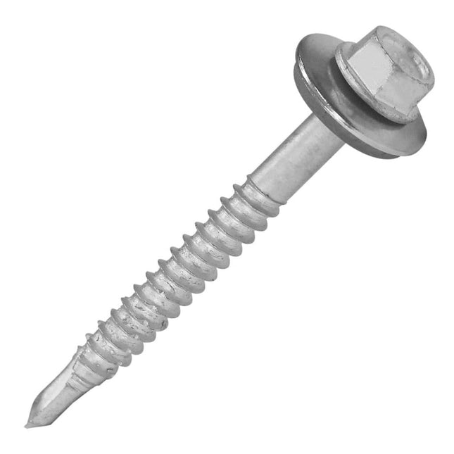 200g Stainless Steel Screw with Washer 5.5x38