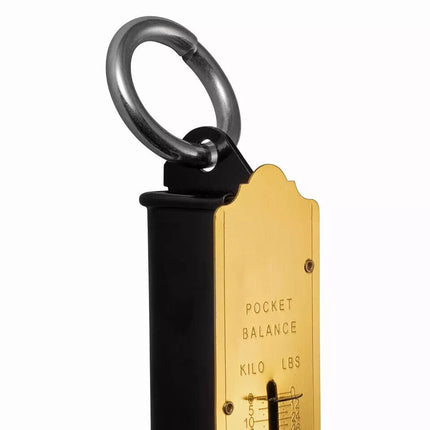 25 50 100KG Portable Luggage Scale Spring Balance Bag Suitcase Weight Measuring