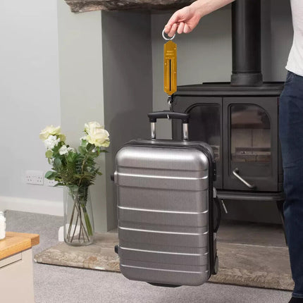 25 50 100KG Portable Luggage Scale Spring Balance Bag Suitcase Weight Measuring