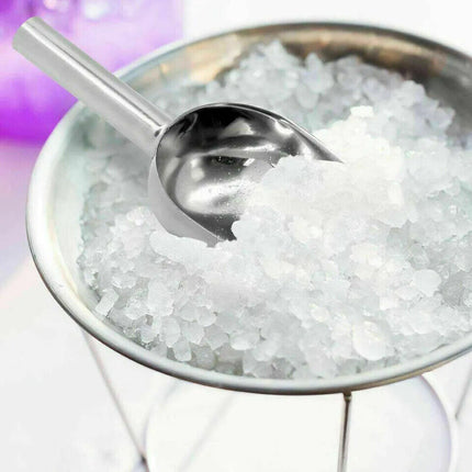 9" Stainless Steel Ice Scoop Buffet Bar Food Measuring Scoop Sugar Flour Sweet