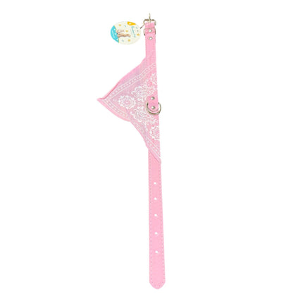 Dog Hook Collar 2.00cm
