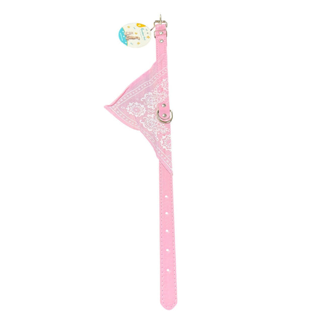 Dog Hook Collar 2.00cm