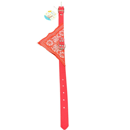 Dog Hook Collar 2.50cm