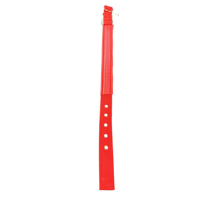 Dog Hook Collar 3.00cm