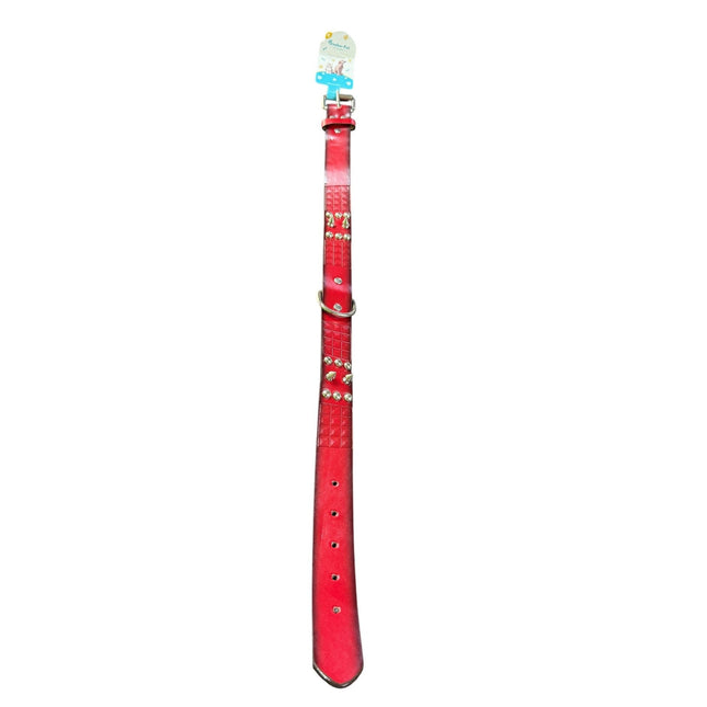 Pet Collar 3cm