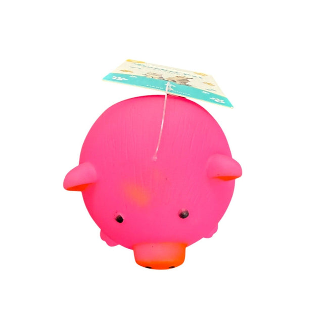 Pet Toy
